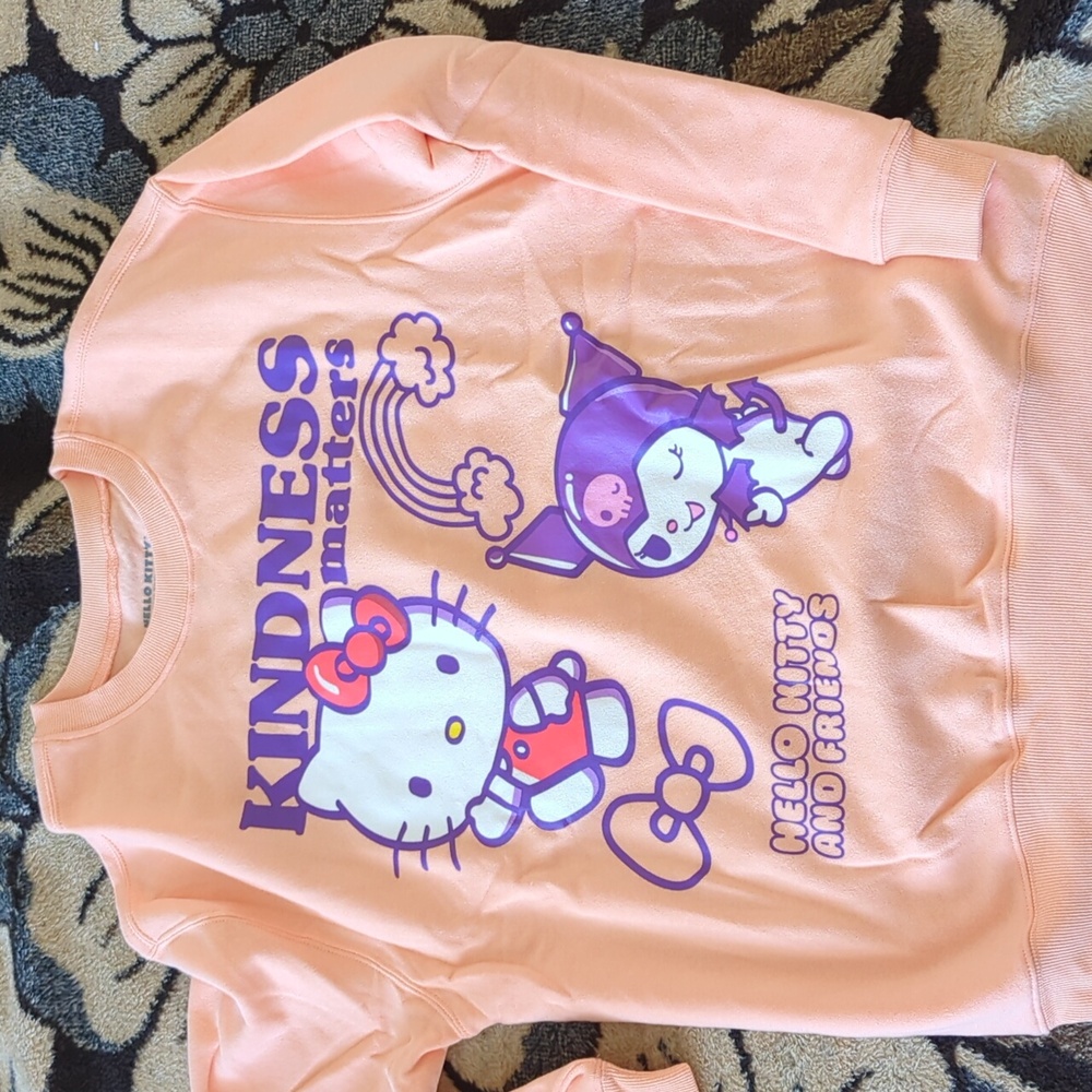 Hello Kitty and Friends Sweater